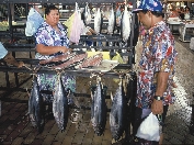 Čerstvé ryby na trhu