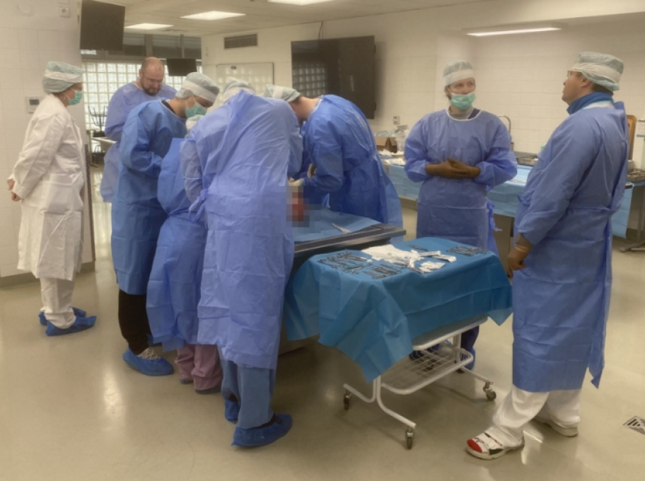 Základy cévní chirurgie