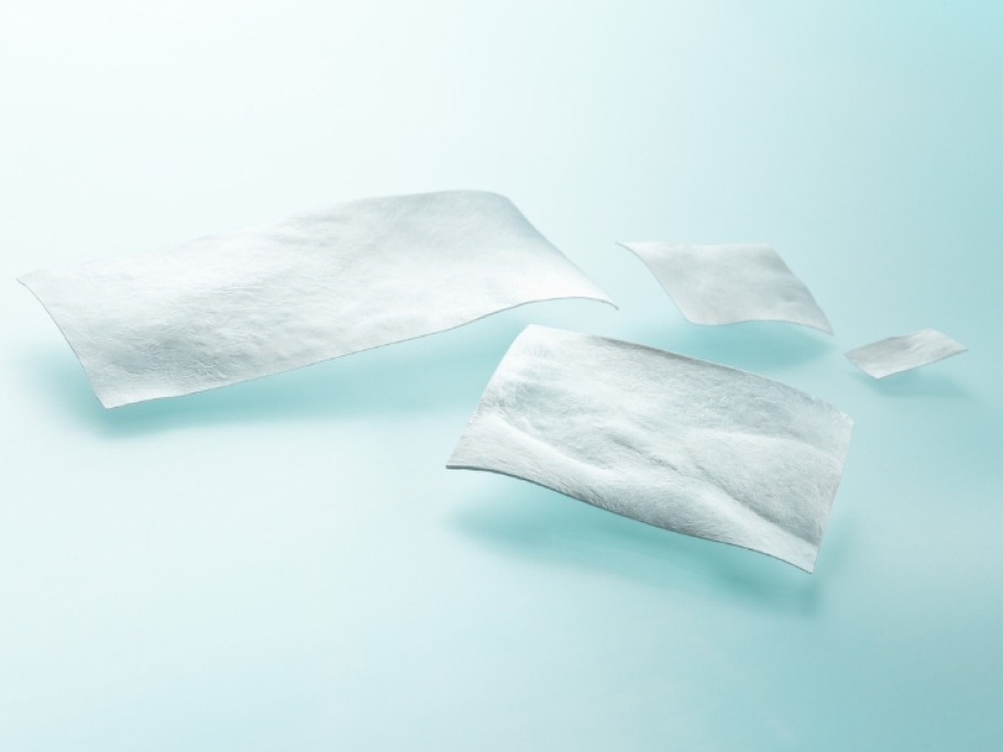 Lyoplant® Onlay –  biologická náhrada dura  mater v klinickej praxi