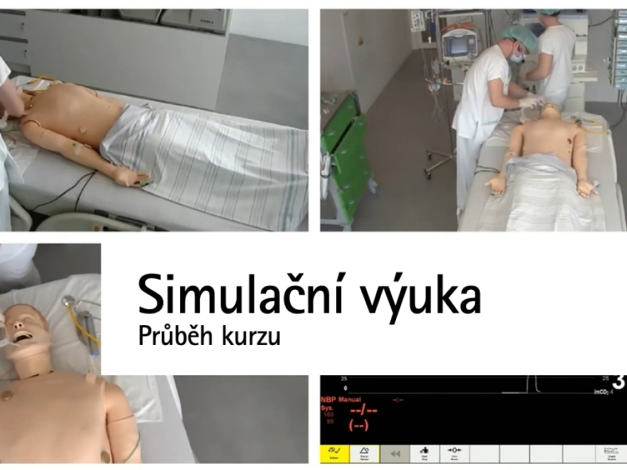 Průběh kurzu simulační výuka