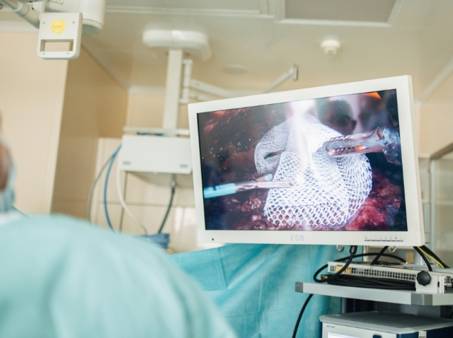 Fortelny & Paseka: světové know how Abdominal Wall Health 