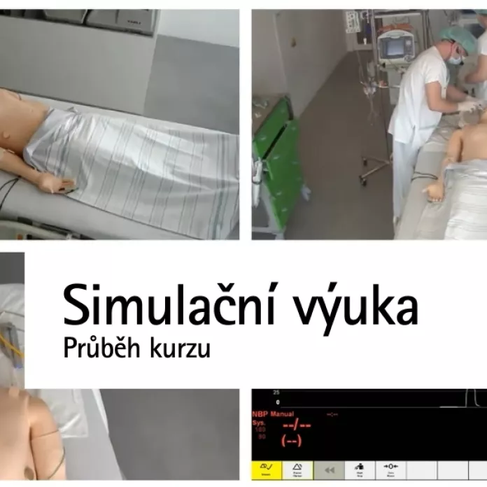 Průběh kurzu simulační výuka